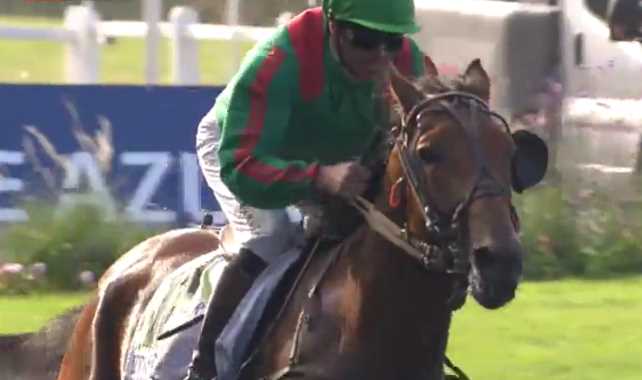 CYPRIEN DES BORDES monté par Jean-Loic-Claude DERSOIR vainqueur du PRIX DES ÉLITES 2017 à VINCENNES CYPRIEN DES BORDES monté par Jean-Loic-Claude DERSOIR vainqueur du PRIX DES ÉLITES 2017 à VINCENNES