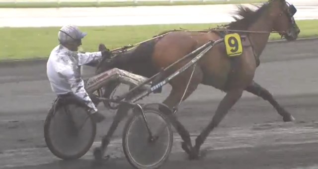 DARLING DE REUX drivé par David THOMAIN vainqueur du Critérium des 4 Ans 2017 2017 à Vincennes