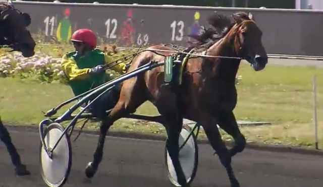 DAVIDSON DU PONT (Jean-Michel BAZIRE) vainqueur du CRITÉRIUM DES 5 ANS 2018 à Vincennes