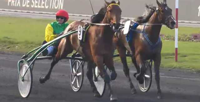 DAVIDSON DU PONT drivé par Jean-Michel BAZIRE gagnant du PRIX DE SELECTION 2018 à Vincennes