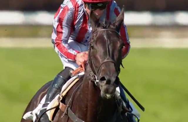 DE BON COEUR (Kévin NABET) vainqueur de la GRANDE COURSE DE HAIES D'AUTEUIL 2018 à Auteuil