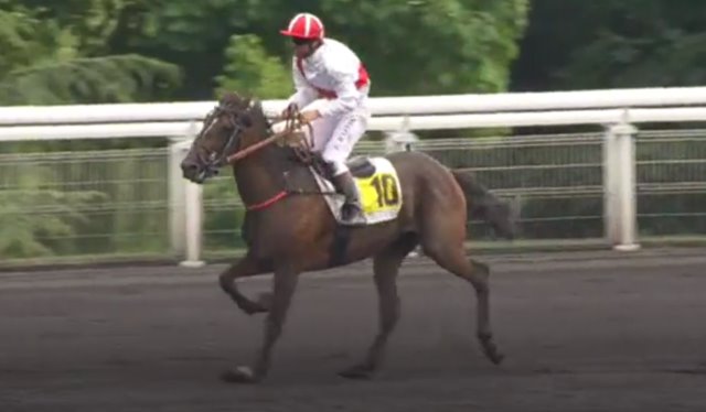 DRAFT LIFE monté par Eric RAFIN vainqueur du PRIX DU PRÉSIDENT DE LA RÉPUBLIQUE 2017 à VINCENNES