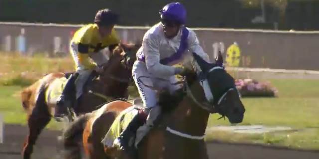 DURZIE (Alexandre ABRIVARD) gagnante du PRIX DE NORMANDIE 2018 à Vincennes