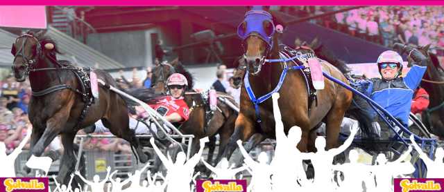 ELITLOPPET 2018 à SOLVALLA ELITLOPPET 2018 à SOLVALLA