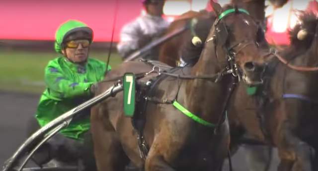 ERIDAN drivé par David THOMAIN gagnant du Critérium Continental 2018 à Vincennes