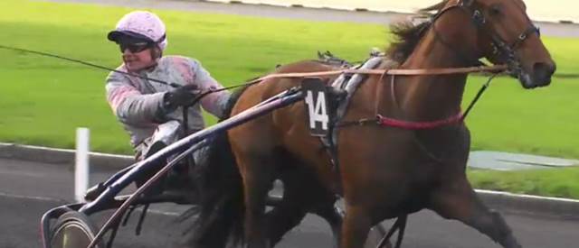 ERMINIG D'OLIVERIE drivé par Franck NIVARD gagnante du Critérium des 3 Ans 2017 à Vincennes