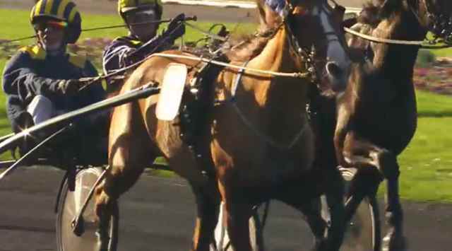 FOLELLI drivé par Alexandre ABRIVARD gagnante du PRIX DU COMTE PIERRE DE MONTESSON 2018 à Vincennes