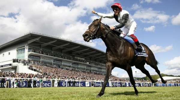 GOLDEN HORN vainqueur du Prix de l'Arc de Triomphe 2015 ici sur la photo lors du Derby d'EPSOM le 06 juin 2015 GOLDEN HORN vainqueur du Prix de l'Arc de Triomphe 2015 ici sur la photo lors du Derby d'EPSOM le 06 juin 2015