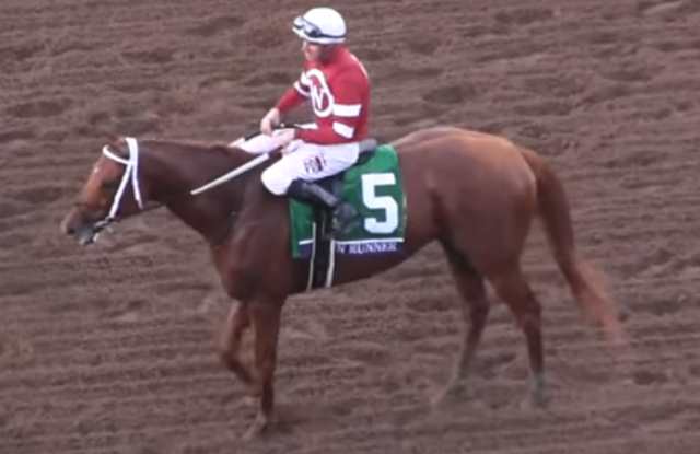 GUN RUNNER monté par Florent GEROUX vainqueur de la BREEDERS CUP CLASSIC 2017 sur l'hippodrome de DEL MAR aux États-Unis d'Amérique
