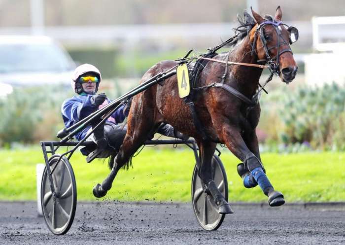 KANTO AVIS le favori du quinté + du jour à Vincennes - Prix Albert Demarcq 2025