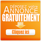 Le bon coin des petites annonces (immobilier, auto ...)