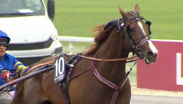 LIONEL gagnant du PRIX DE L'ATLANTIQUE 2016 à ENGHIEN