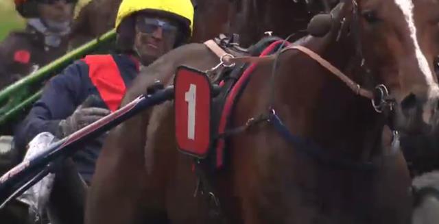 LOOKING SUPERB drivé par Jean-Michel BAZIRE vainqueur du Prix Ténor de Baune 2018 à Vincennes