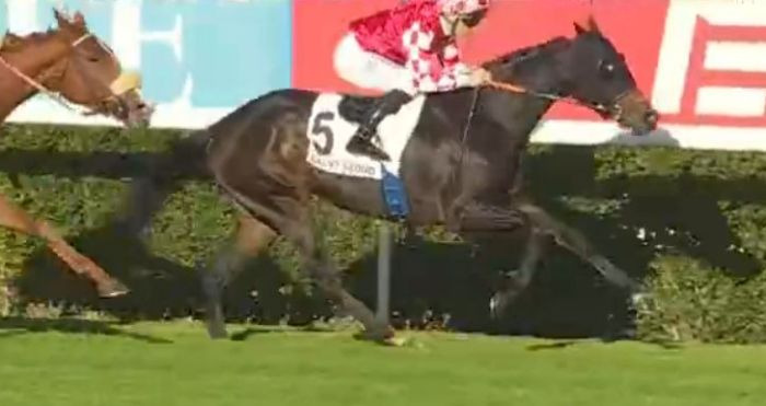 MASAIYA gagnante du quinté + du jour à Saint-Cloud - Prix de l'Élevage