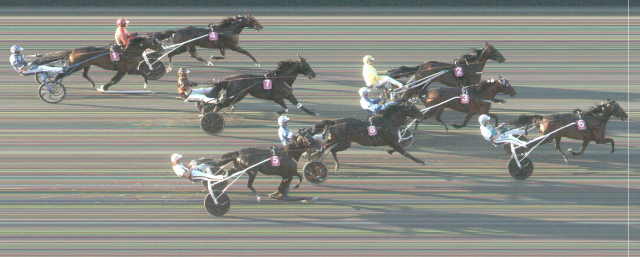 PROPULSION drivé par Orjan KIHLSTROM gagnant de l'ELITLOPPET 2020