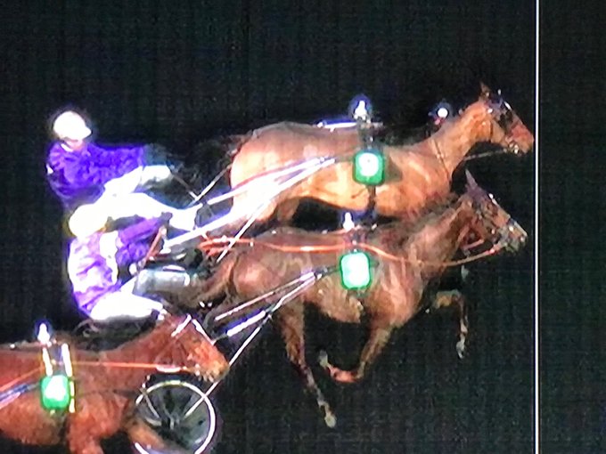 Photo finish du Critérium des 3 Ans 2019