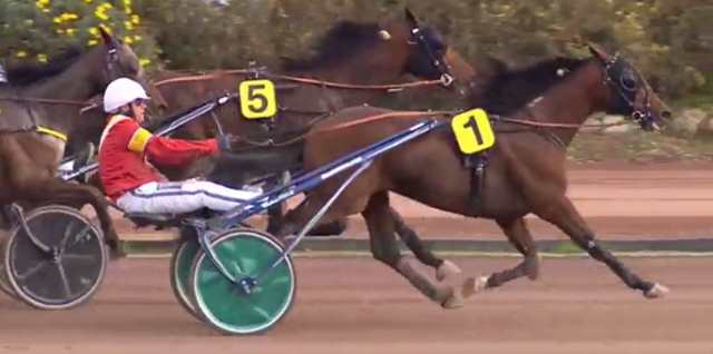 READLY EXPRESS drivé par Bjorn GOOP gagnant du GRAND CRITÉRIUM DE VITESSE DE LA CÔTE-D'AZUR 2019 à Cagnes-Sur-Mer
