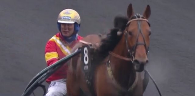 READLY EXPRESS drivé par Bjorn GOOP vainqueur du GRAND PRIX D'AMÉRIQUE 2018 à Vincennes