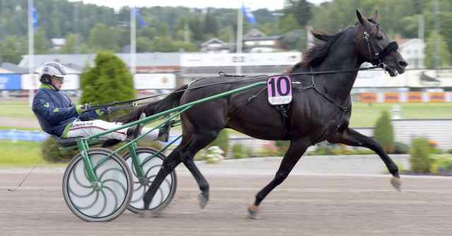 RINGOSTARR TREB gagnant de l'ELITLOPPET 2018 RINGOSTARR TREB gagnant de l'ELITLOPPET 2018