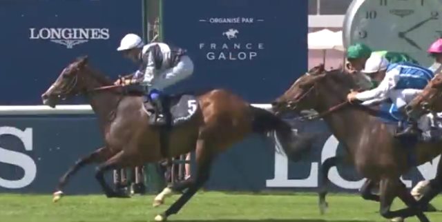 SENGA gagnante du PRIX DE DIANE 2017 à CHANTILLY SENGA gagnante du PRIX DE DIANE 2017 à CHANTILLY