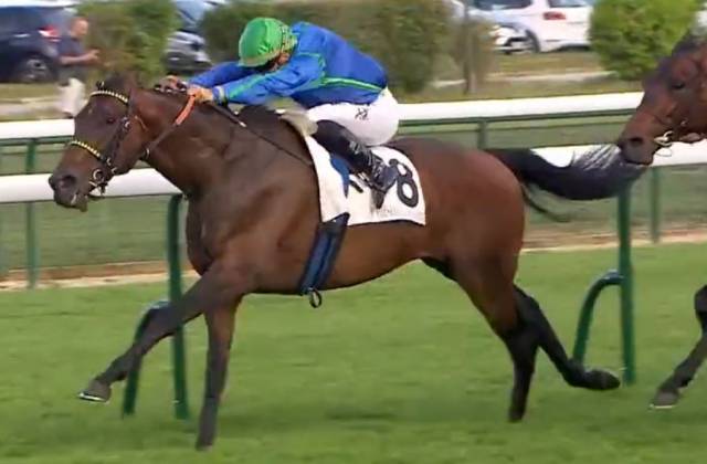 SIMONS KING (8 - Maxime GUYON) vainqueur du quinté + du jour à Longchamp SIMONS KING (8 - Maxime GUYON) vainqueur du quinté + du jour à Longchamp