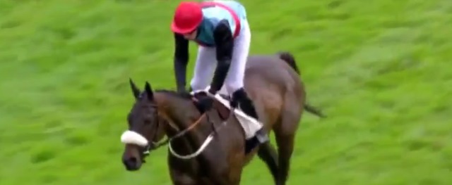 SO FRENCH gagnant du GRAND STEEPLE-CHASE DE PARIS 2016 à AUTEUIL