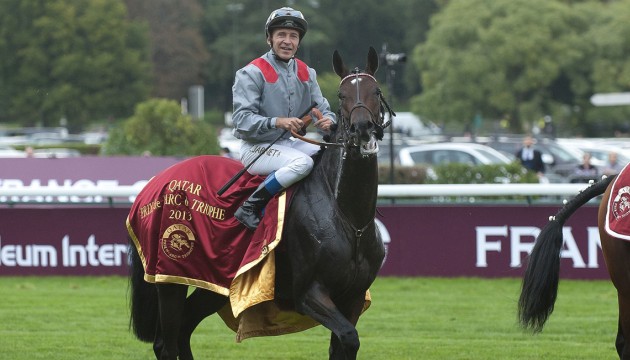 Trêve et le jockey Thierry Jarnet dans le Prix de l'Arc de Triomphe 2013 Trêve et le jockey Thierry Jarnet dans le Prix de l'Arc de Triomphe 2013