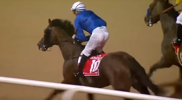 THUNDER SNOW (Christophe SOUMILLON) gagnant de la DUBAI WORLD CUP 2018 à DUBAI aux Émirats Arabes Unis