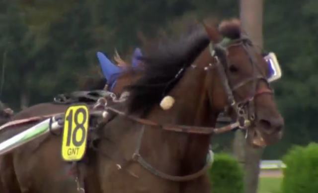 TIGER DANOVER le gagnant du Grand National du Trot 2017