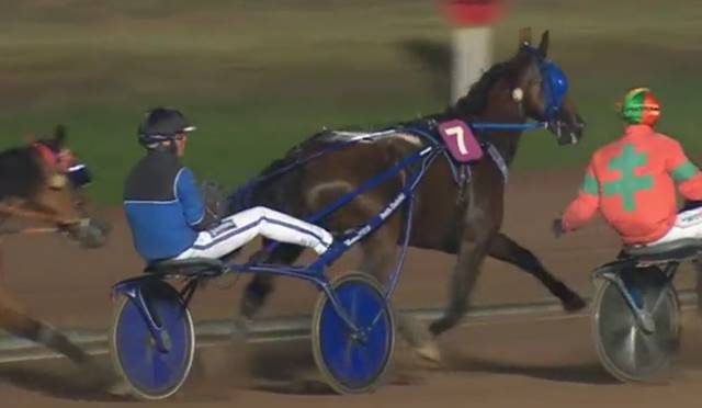 TIMOKO vainqueur du Prix du département des Alpes-Maritimes 2017 à Cagnes-Sur-Mer, dernière course en France TIMOKO vainqueur du Prix du département des Alpes-Maritimes 2017 à Cagnes-Sur-Mer, dernière course en France