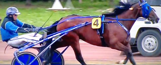 TIMOKO gagnant du Grand Critérium de Vitesse de la Côte d'Azur 2017 TIMOKO gagnant du Grand Critérium de Vitesse de la Côte d'Azur 2017
