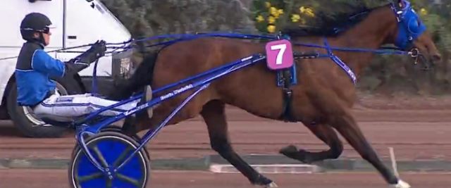TIMOKO gagnant du GRAND CRITÉRIUM DE VITESSE 2016 TIMOKO gagnant GRAND CRITÉRIUM DE VITESSE 2016