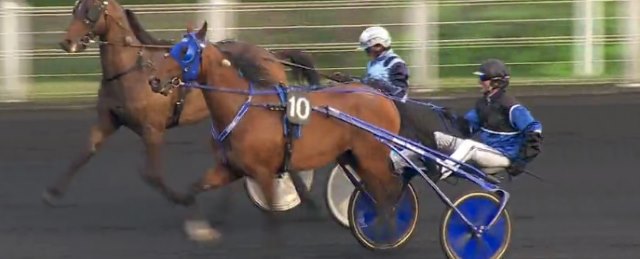 TIMOKO gagnant du PRIX KERJACQUES 2016 à VINCENNES