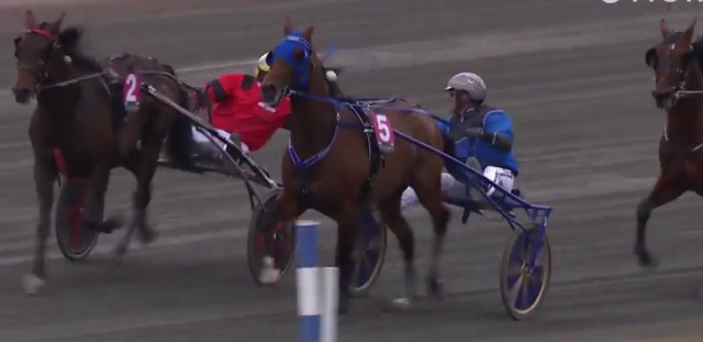 TIMOKO vainqueur de l'ELITLOPPET 2017 à SOLVALLA TIMOKO vainqueur de l'ELITLOPPET 2017 à SOLVALLA