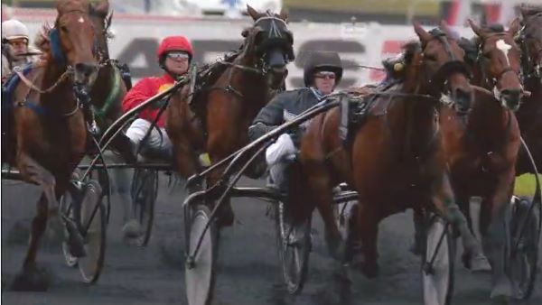 TREASURE KRONOS gagnant du Critérium Continental 2016 à VINCENNES TREASURE KRONOS gagnant du Critérium Continental 2016 à VINCENNES