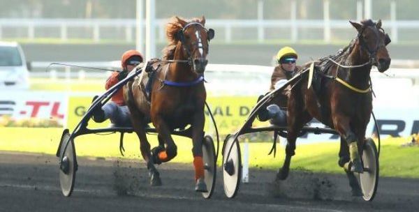 ULSTER PERRINE vainqueur de la Finale du Grand National du Trot 2015