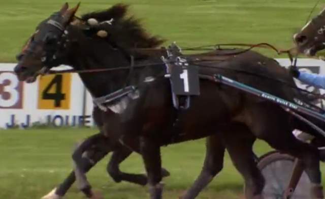 UP AND QUICK (Franck NIVARD) vainqueur du CRITÉRIUM DE VITESSE DE BASSE-NORMANDIE 2018 à ARGENTAN