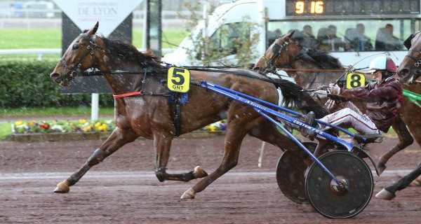 UTINKA SELLOISE gagnant de la 3ème étape du Grand National du Trot 2016
