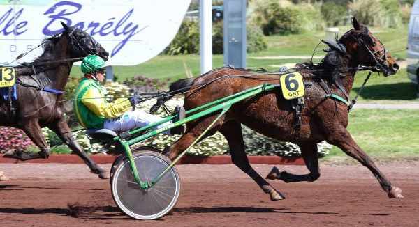 VANILLE DU DOLLAR gagnant de la 2ème étape du Grand National du Trot 2016