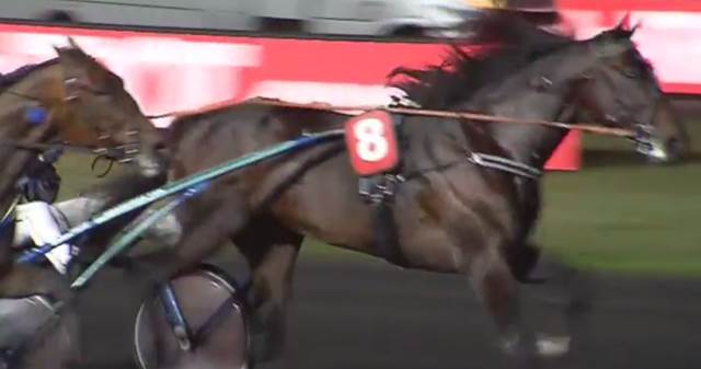 VILLIAM (Jorma KONTIO) vainqueur du Grand Prix de l'U.E.T. 2018 à Vincennes