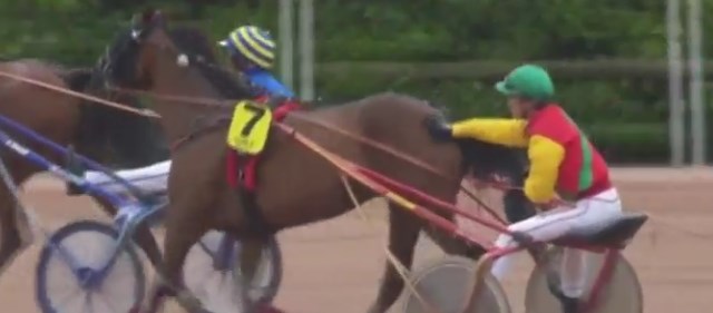 VIOLINE MOUROTAISE (David THOMAIN) gagnant de la 6ème étape du Grand National du Trot 2017 à LAVAL