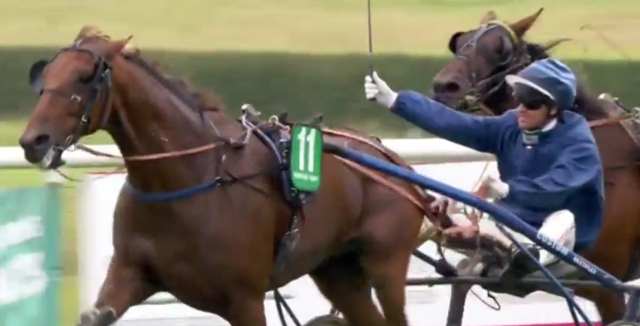 VULCANIA DE GODREL (Eric RAFFIN) vainqueur de la Finale du Trophée Vert 2017 à CRAON